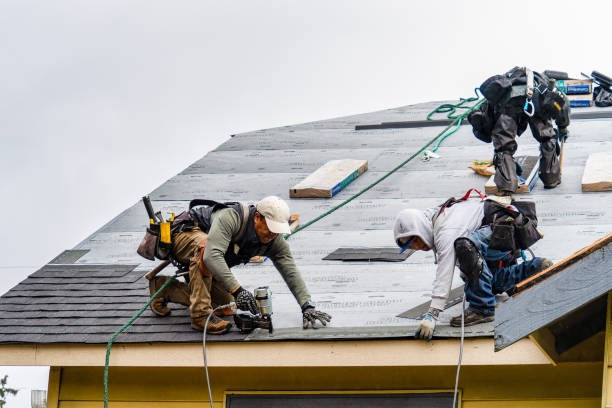 Professional Roof Installation technician working in Mount Hermon, VA